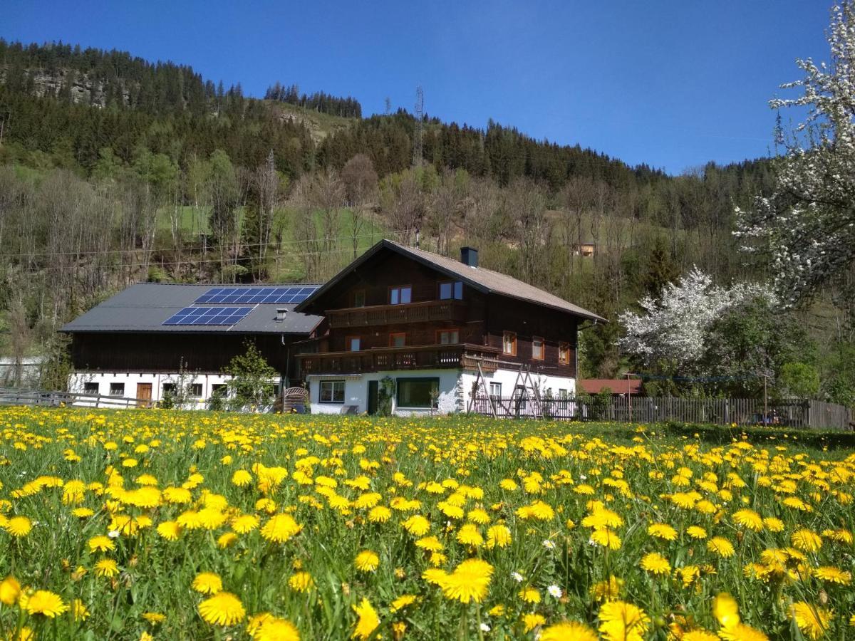 Blonbauer Villa Schladming Exterior photo
